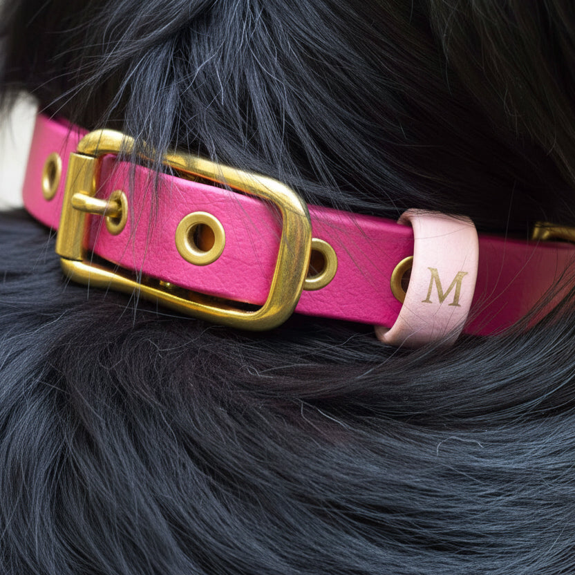 Collare impermeabile Fucsia - M