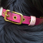 Collare impermeabile Fucsia - M