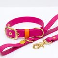 Collare + Guinzaglio Fucsia