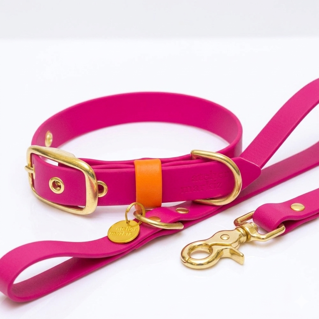 Collare + Guinzaglio Fucsia
