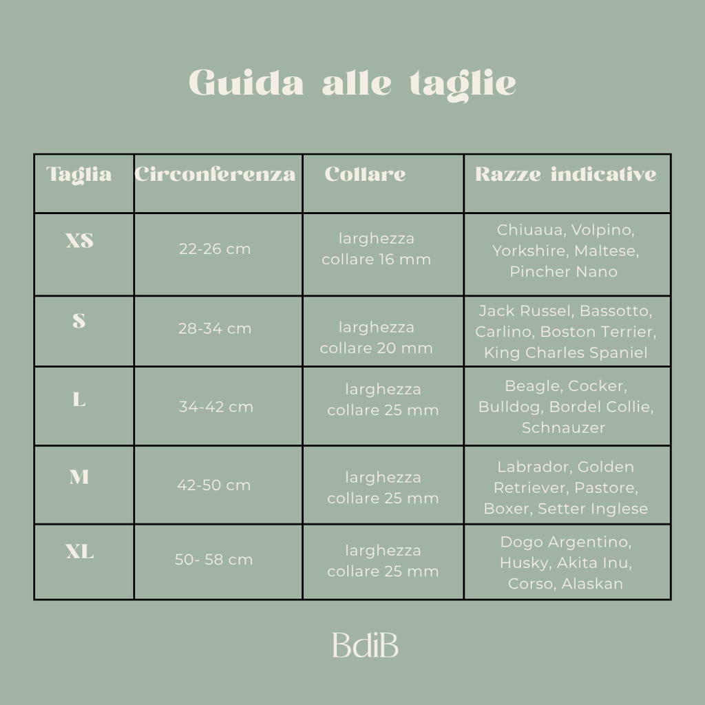 Collare + Guinzaglio Fucsia