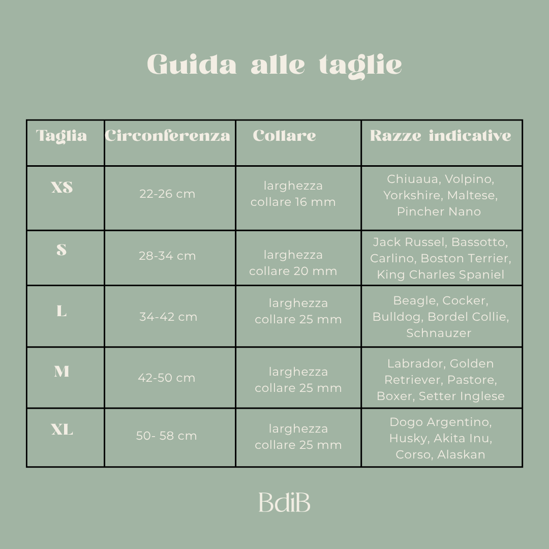 Collare + Guinzaglio Blush S