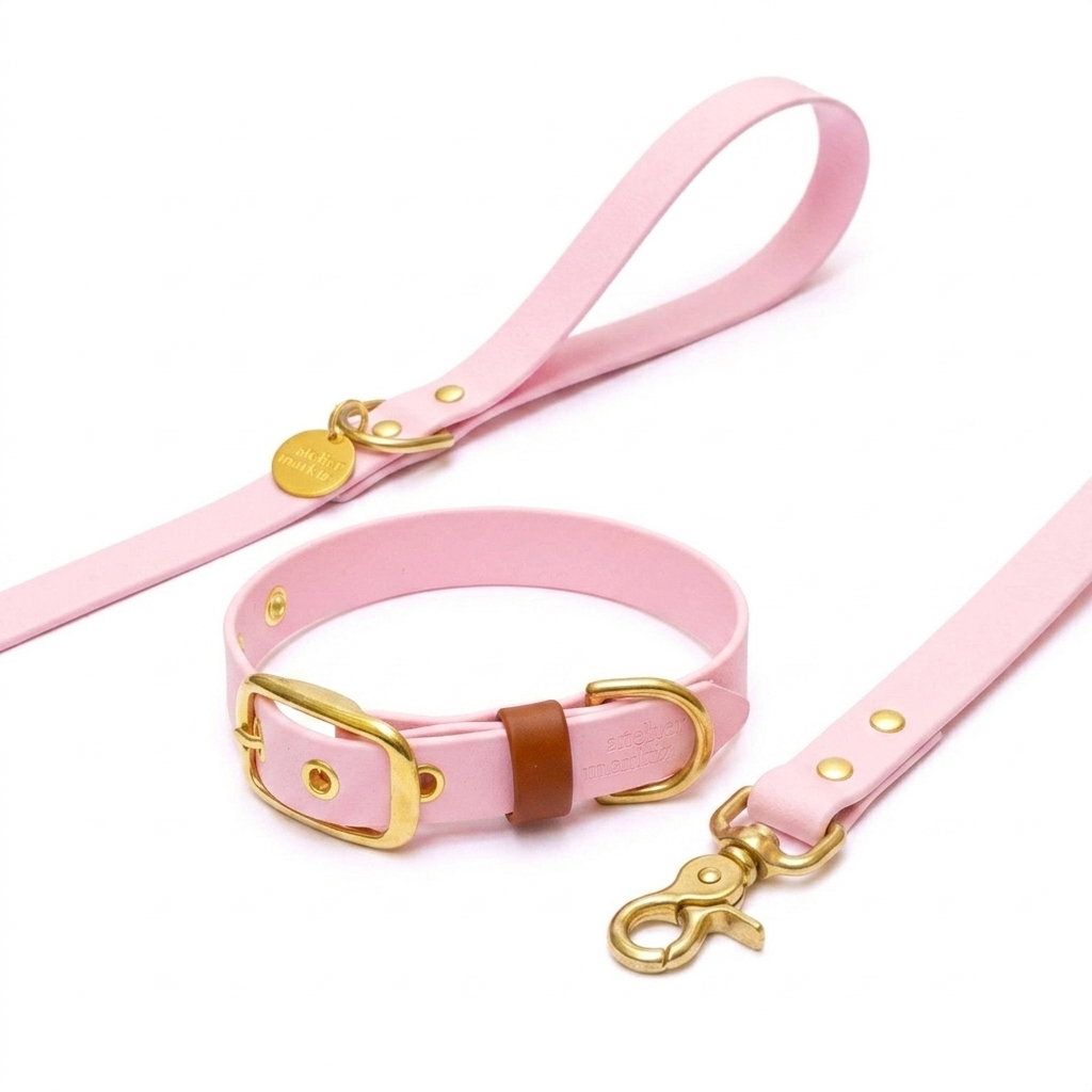 Collare + Guinzaglio Blush S